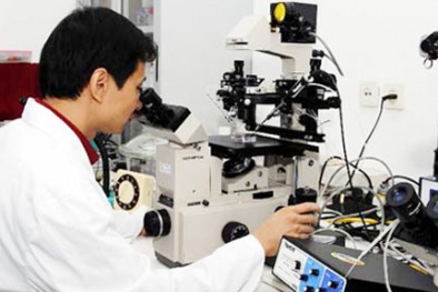 Tăng giá trị giao dịch KH&CN trên thị trường